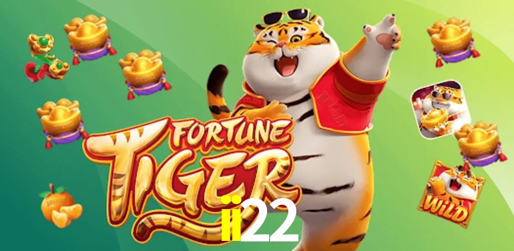 Experiência VIP ii22